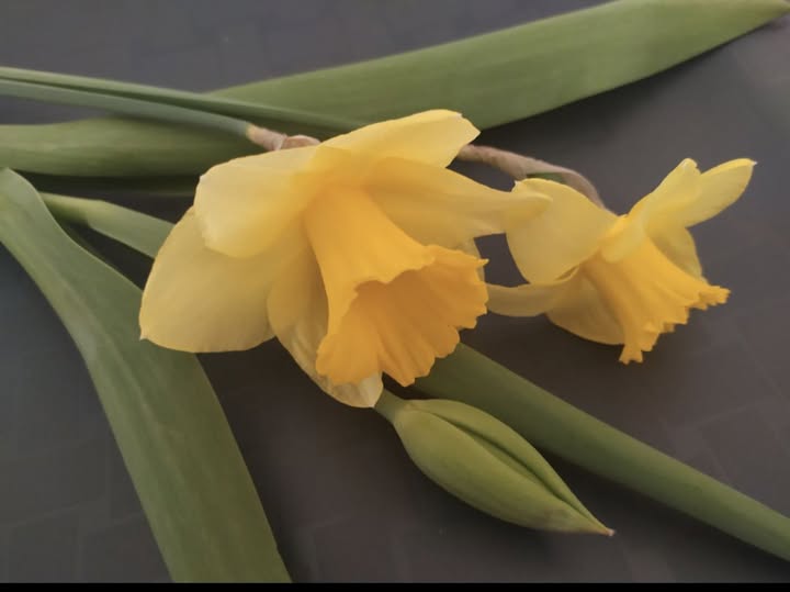 Pola nadziei 24-25 maj 2025