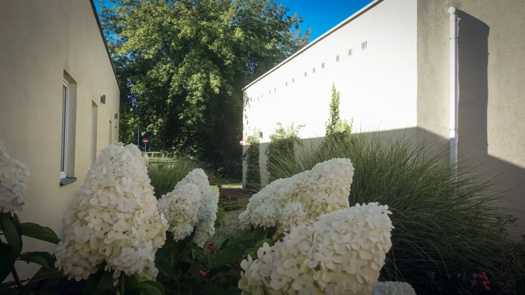 zdjecie Hospicjum Plockie 18