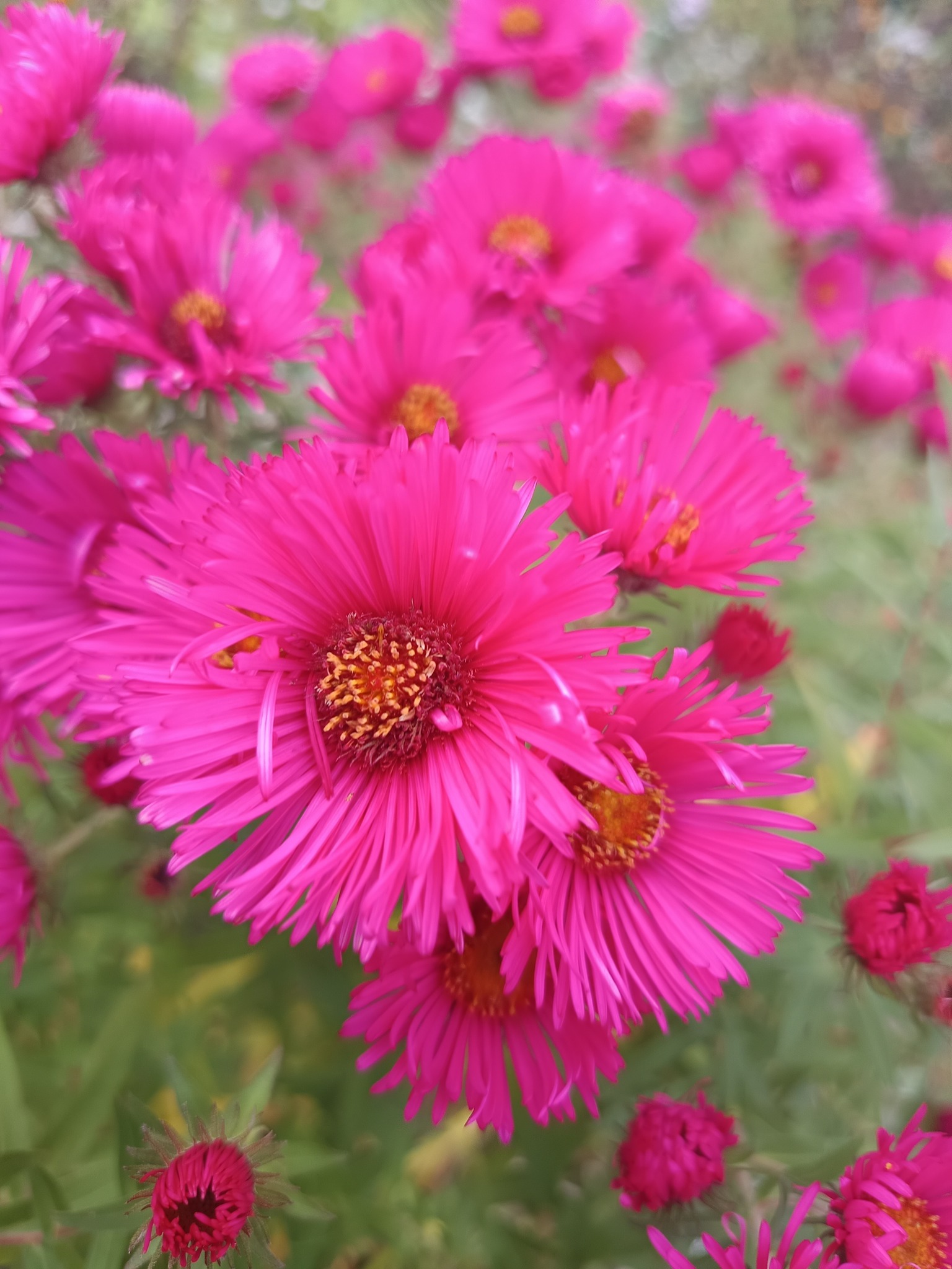 Dziękujemy 2 Dziękujemy