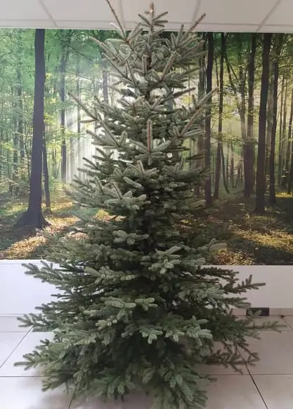 Grudzień - magiczny czas. Dziękujemy Wam 31 595919833 1284167497077668 1716437122534397488 n