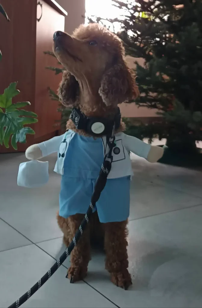 Grudzień - magiczny czas. Dziękujemy Wam 32 598377340 1284824537011964 5141579431702688615 n